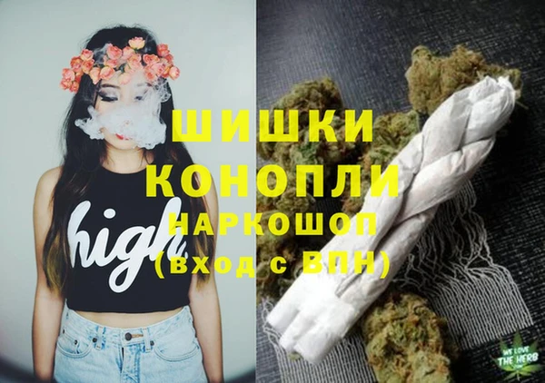 шишки Ладушкин
