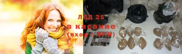 амф Липки