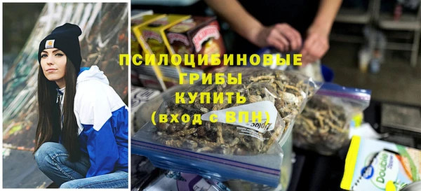 амф Липки