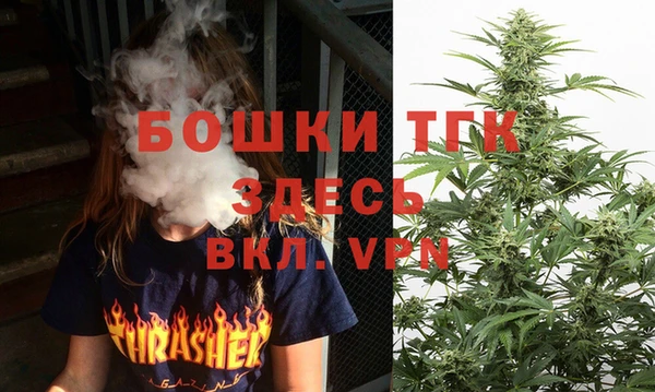 амф Липки