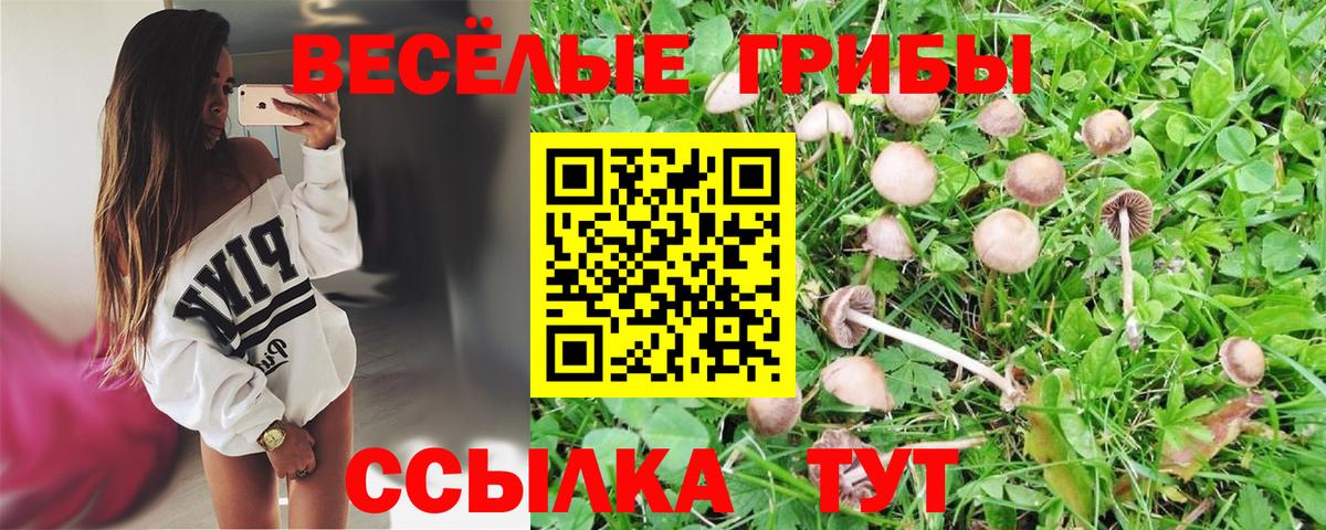 Псилоцибиновые грибы прущие грибы  Вход с VPN  Троицк 