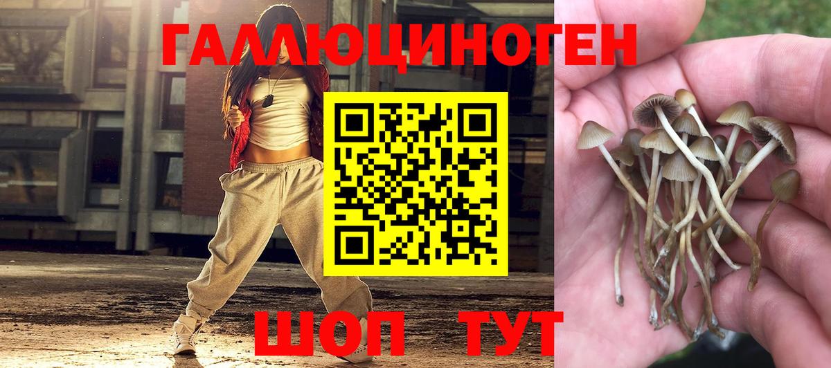 Галлюциногенные грибы Magic Shrooms Троицк